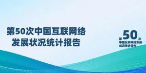 中國(guó)互聯(lián)網(wǎng)絡(luò)發(fā)展?fàn)顩r統(tǒng)計(jì)報(bào)告