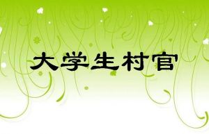 大學(xué)生村官考試