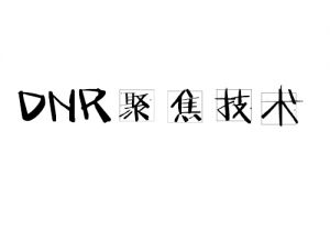 DNR聚焦技術(shù)