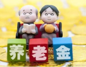 個人養(yǎng)老金實施辦法