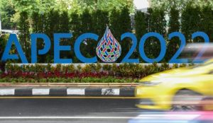 亞太經(jīng)合組織第二十九次領導人非正式會議 亞太經(jīng)合組織第二十九次領導人非正式會議