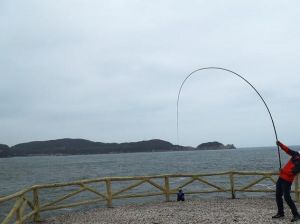 魚(yú)竿