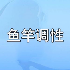魚(yú)竿調(diào)性