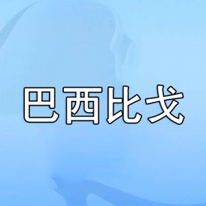 巴西比戈 巴西比戈