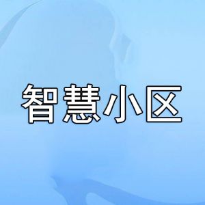 智慧小區(qū) 智慧小區(qū)