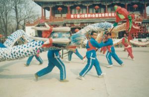 東儲(chǔ)雙龍會(huì)