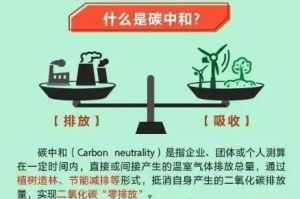 碳中和 碳中和