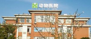 寵物醫(yī)院 寵物醫(yī)院