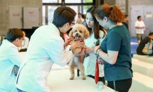 寵物醫(yī)院 寵物醫(yī)院