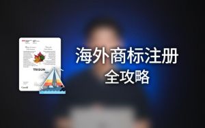 注冊海外公司 注冊海外公司