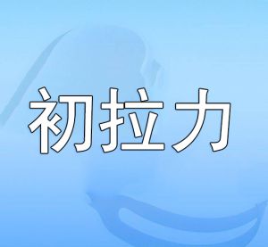 初拉力 初拉力