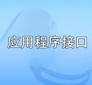 應(yīng)用程序接口
