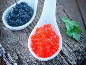 魚子醬 魚子醬