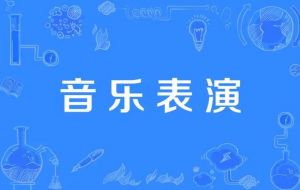 音樂表演專業(yè) 音樂表演專業(yè)