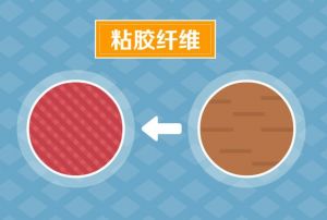 粘膠纖維 粘膠纖維