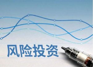 風(fēng)險(xiǎn)投資