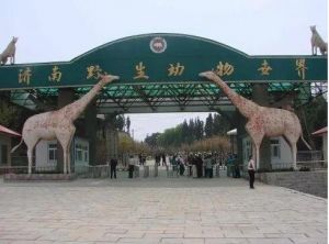 濟(jì)南動物園
