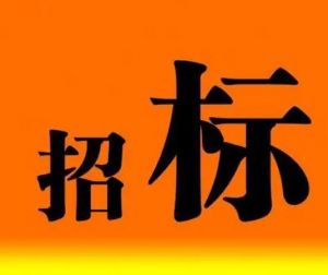 招標(biāo)信息