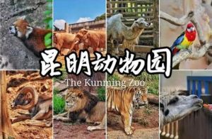 昆明動(dòng)物園