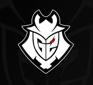 G2 Esports電子競(jìng)技俱樂部