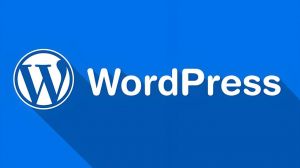 WordPress內(nèi)容管理系統(tǒng)