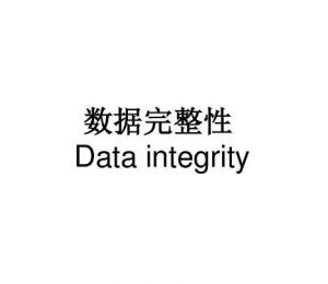 數(shù)據完整性