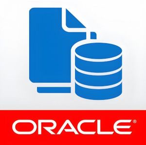 Oracle數(shù)據(jù)庫