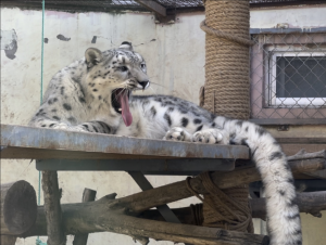 西寧野生動(dòng)物園