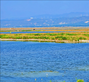 運(yùn)城鹽湖
