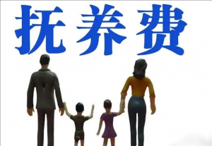社會撫養(yǎng)費