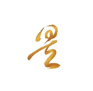 上海昊善律師事務(wù)所