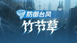 臺風(fēng)竹節(jié)草