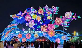 第三十一屆自貢國(guó)際恐龍燈會(huì) 第三十一屆自貢國(guó)際恐龍燈會(huì)