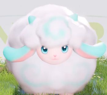 云朵養(yǎng) 云朵養(yǎng)